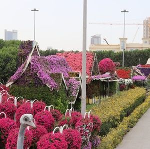 Meet your Posher, Travel fun